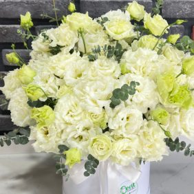  Antalya Flower Delivery White Lisianthus in Box