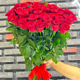  Antalya Flower Red Rose Bouquet 70 cm 41 Pieces